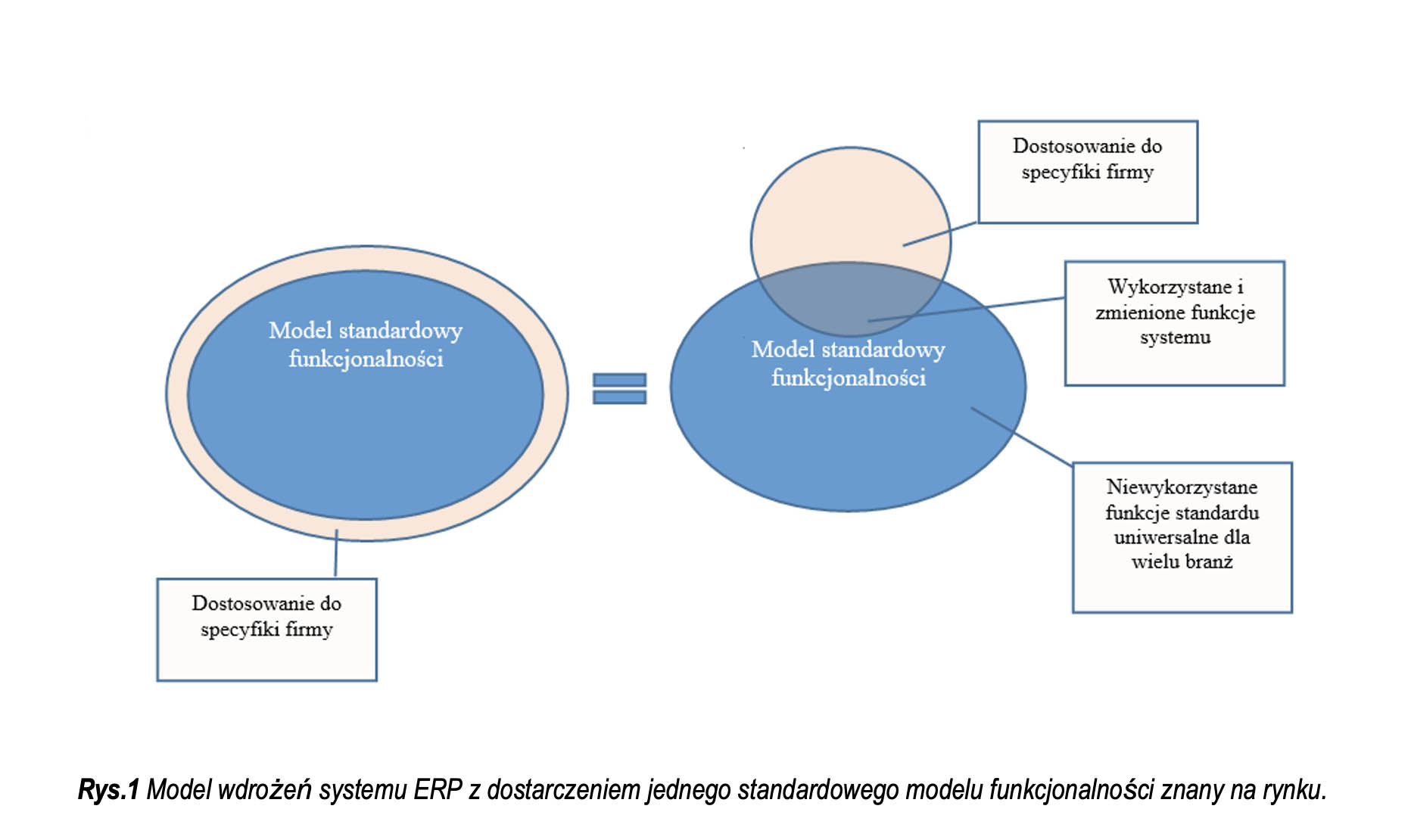 rys1 Model wdrożeń systemu ERP z dostarczeniem jednego standardowego modelu funkcjonalności znany na 