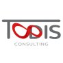 Todis Consulting