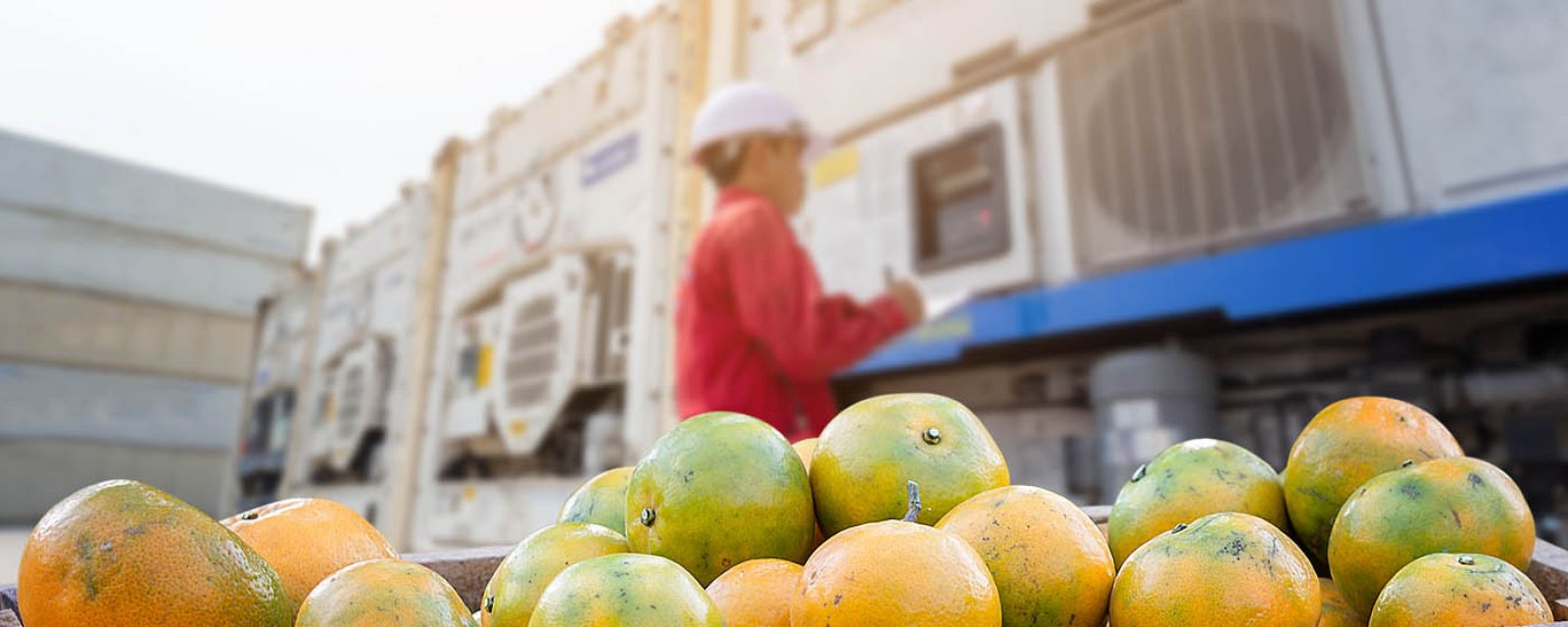 System ERP dla branży spożywczej – najważniejsze korzyści