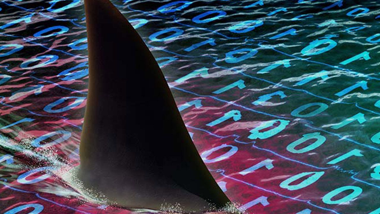 index.php?option=com_content&view=article&id=30598&catid=137&Itemid=1383