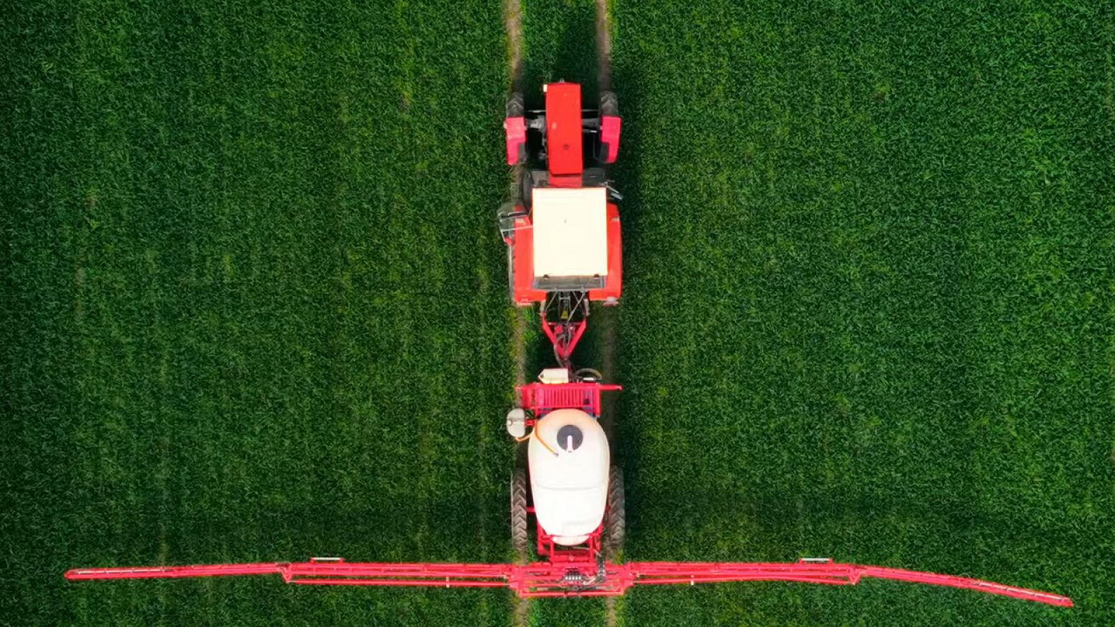 Firma Rolnex wdraża integrację WMS GO z Wapro ERP