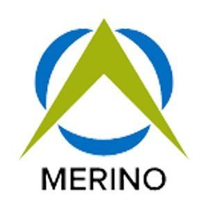 Merino Consulting Services BV