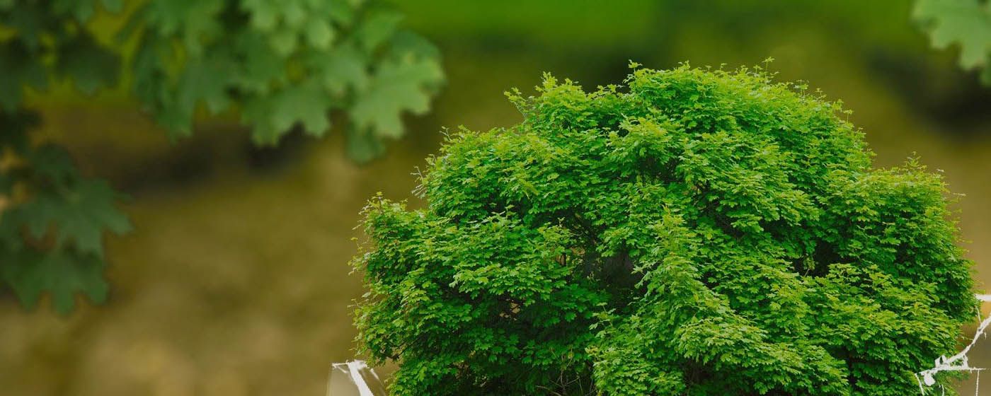 index.php?option=com_content&view=article&id=29035&catid=134&Itemid=845