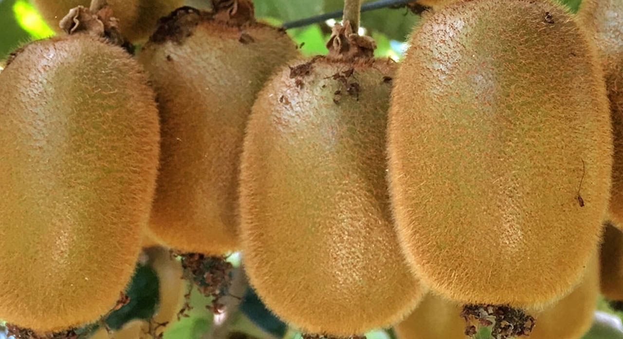 index.php?option=com_content&view=article&id=29249&catid=173&Itemid=1398