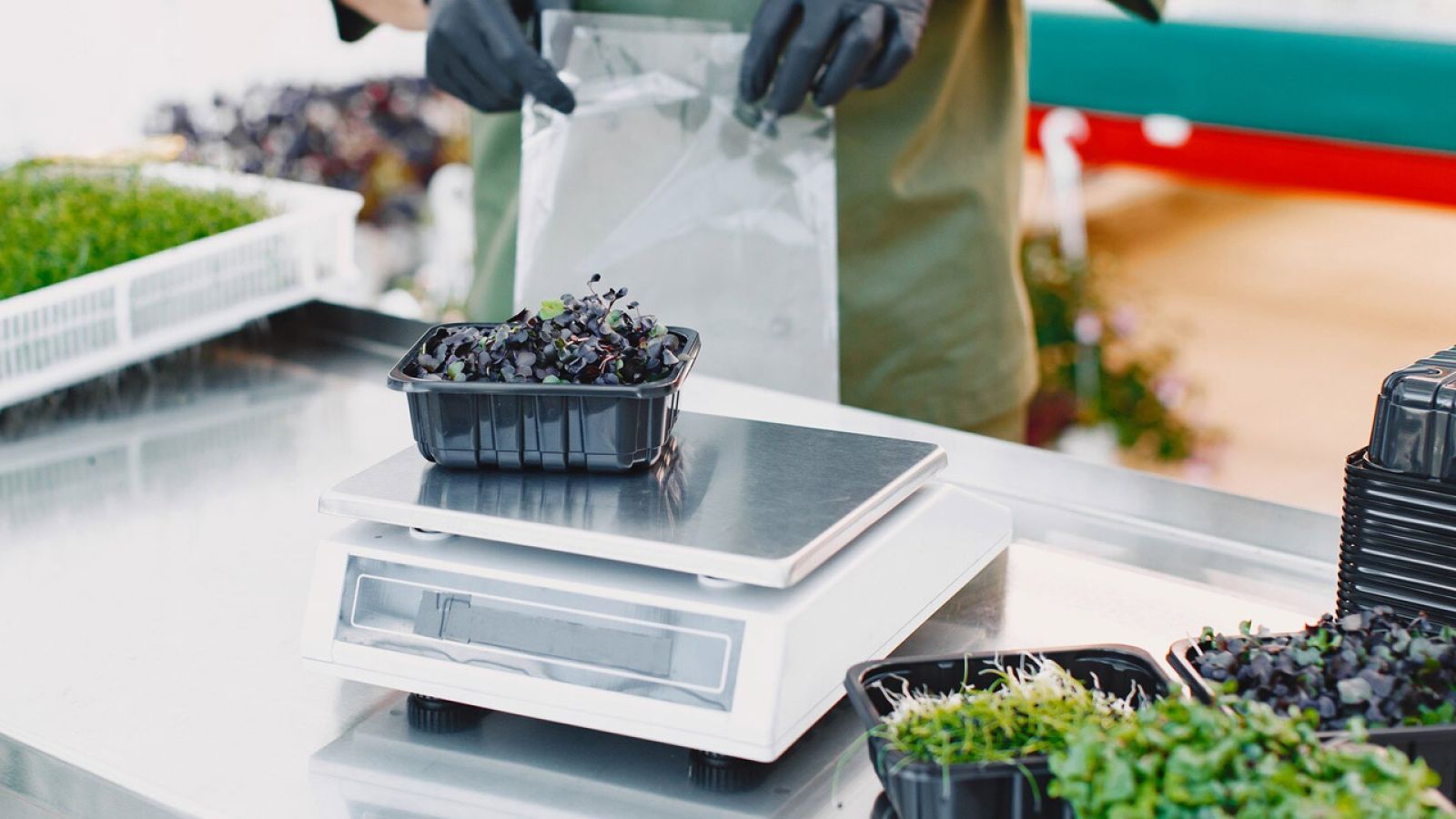 ALFA BIO Aktualizuje ERP do IFS Cloud dla Innowacji