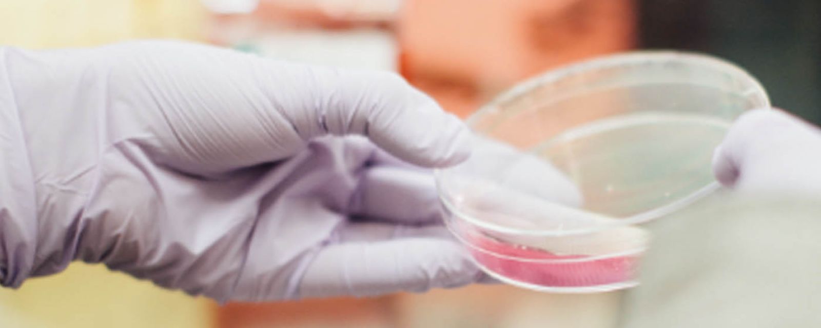 Codec Polska wdraża rozwiązanie controllingowe w ITP S.A