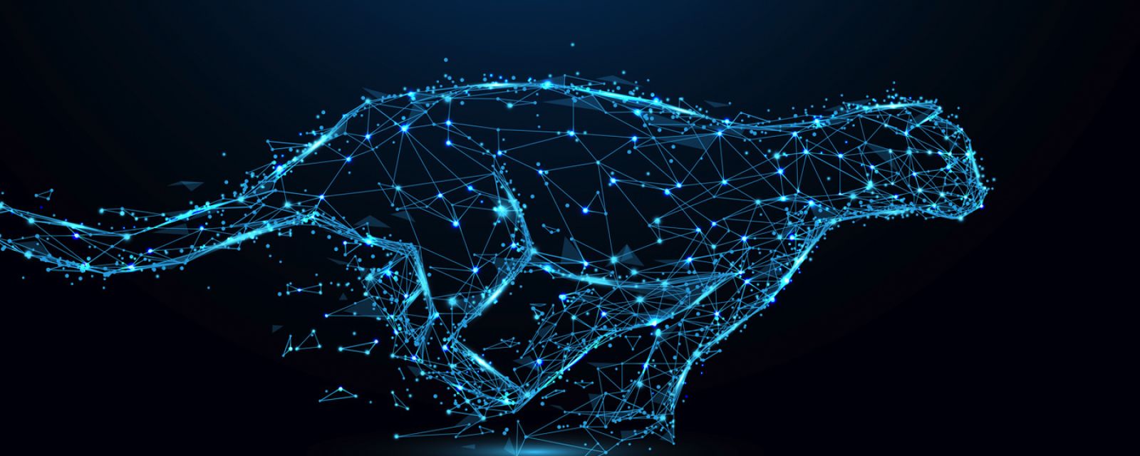 Sente na 23. miejscu w rankingu Gepardy Biznesu