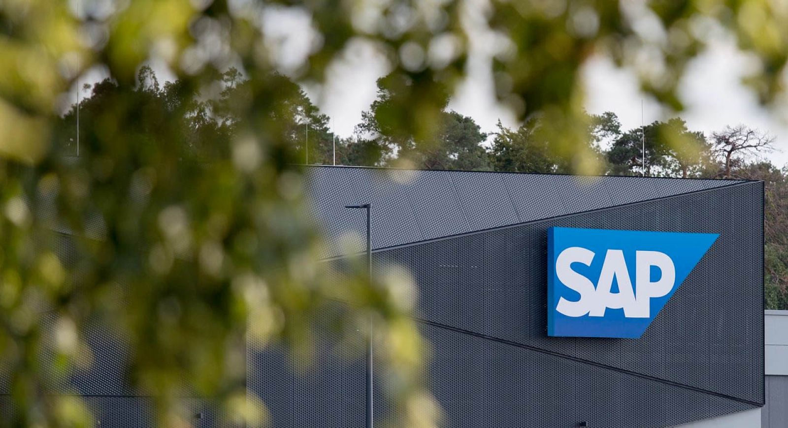 Transformacja cyfrowa zapewnia odporność na kryzys