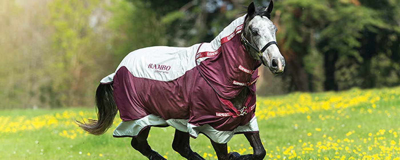 index.php?option=com_content&view=article&id=28346&catid=134&Itemid=845