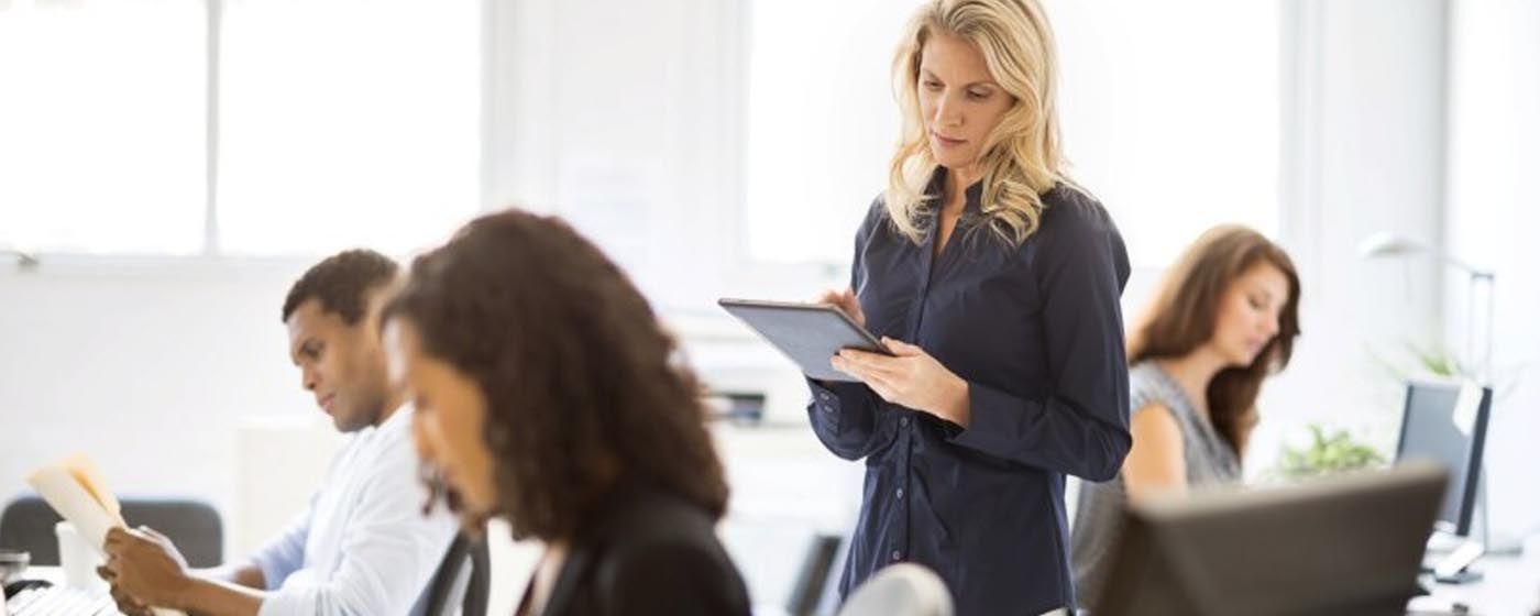 index.php?option=com_content&view=article&id=28402&catid=158&Itemid=1395