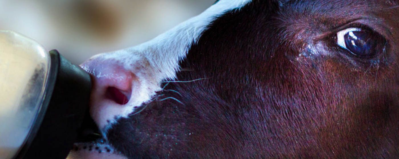 index.php?option=com_content&view=article&id=28683&catid=173&Itemid=1398