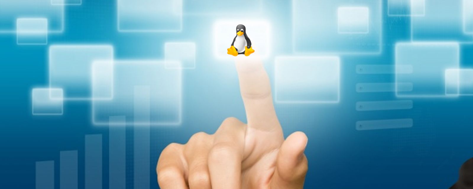 Linux - otwarta perspektywa