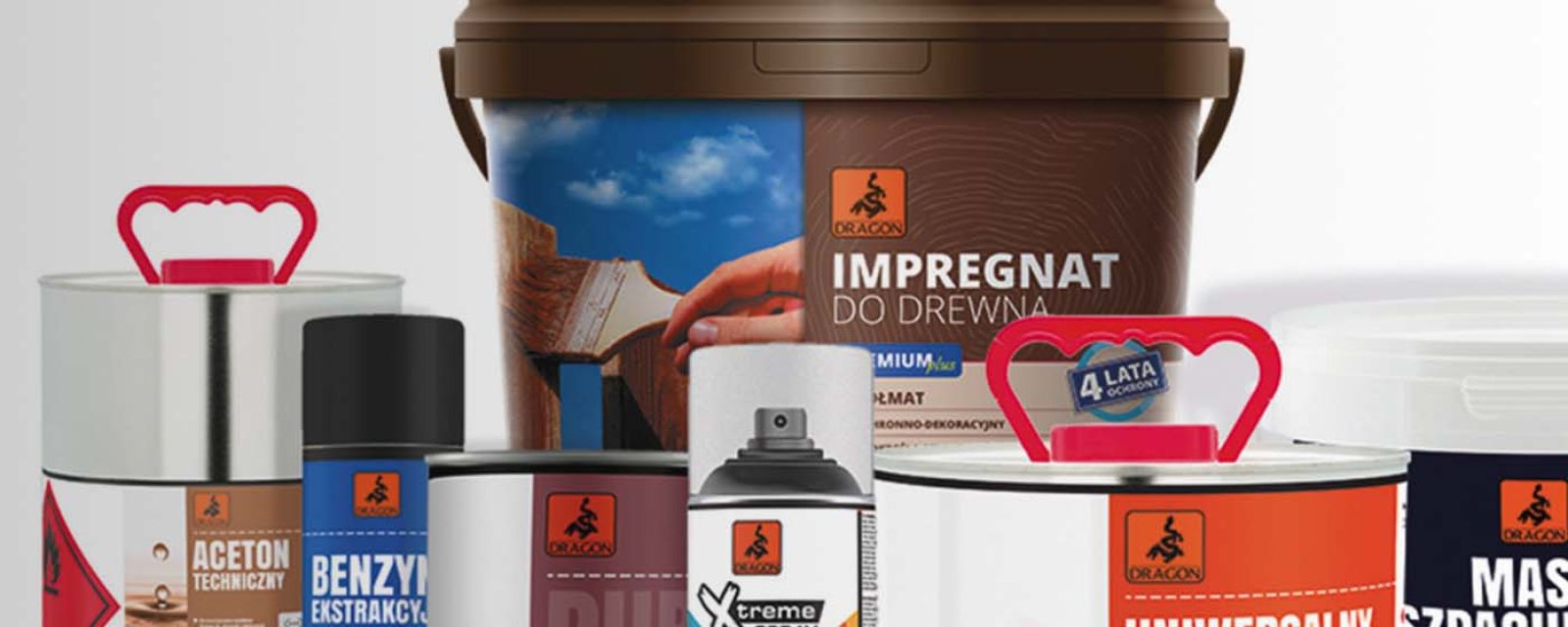 Jak wytresować smoka, czyli Comarch ERP XL w firmie DRAGON