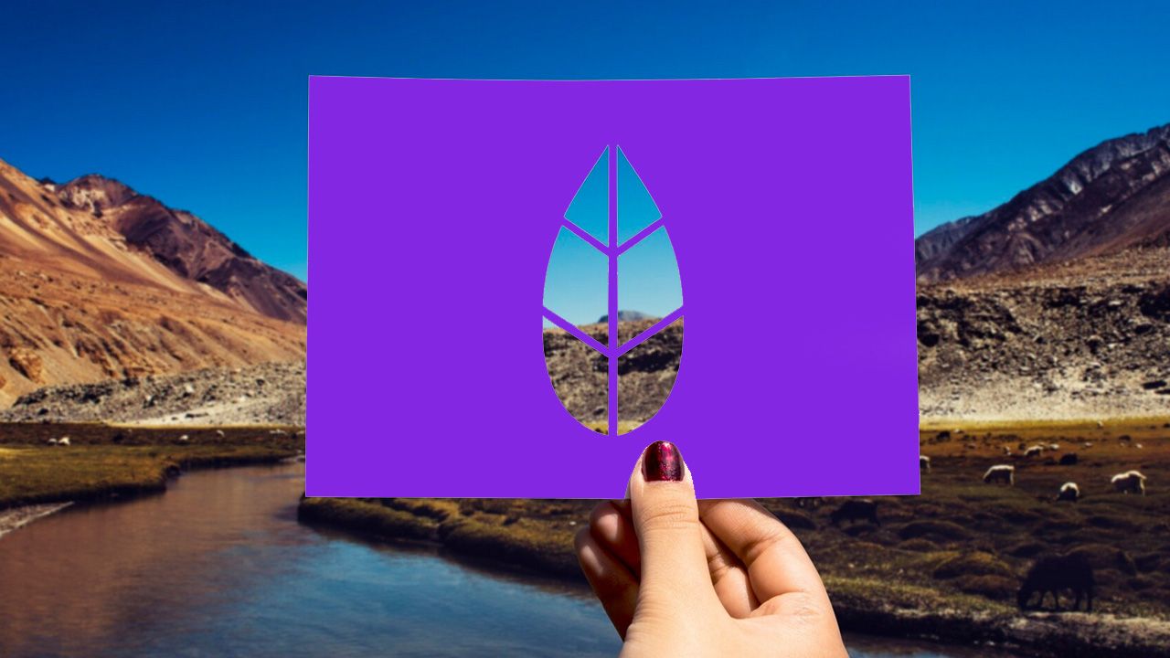 index.php?option=com_content&view=article&id=31919&catid=150&Itemid=1102