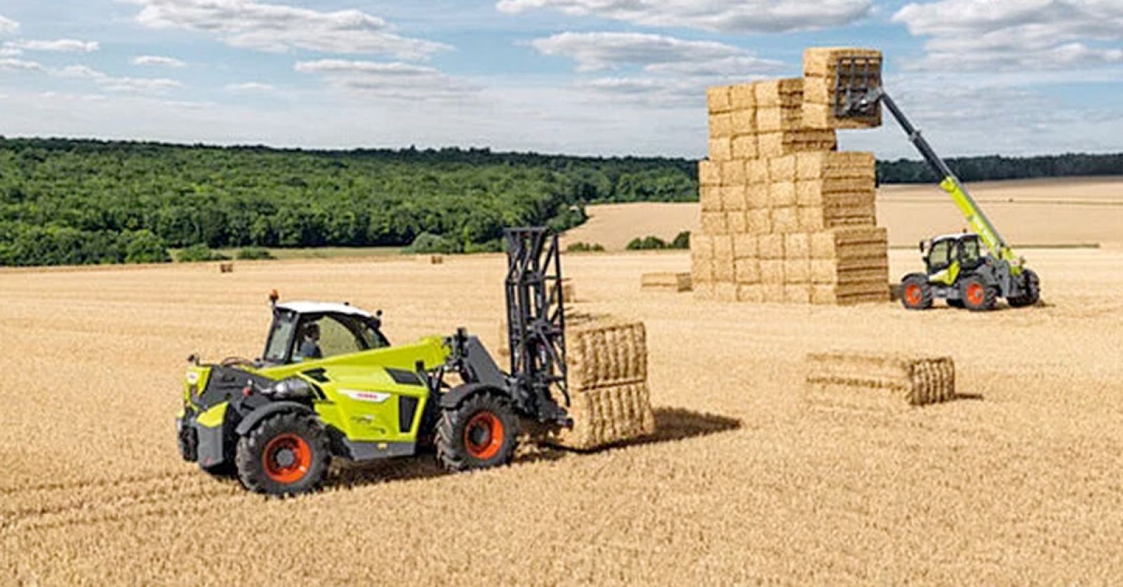 Rosnące przychody firmy AGROAS – czyli jak system klasy ERP pozwala rozwinąć biznes